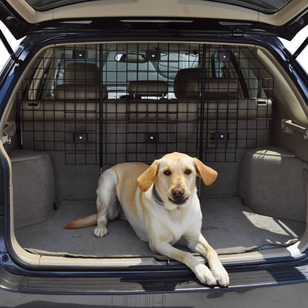 Dig Defence Large Animal Barrier & Reviews Wayfair